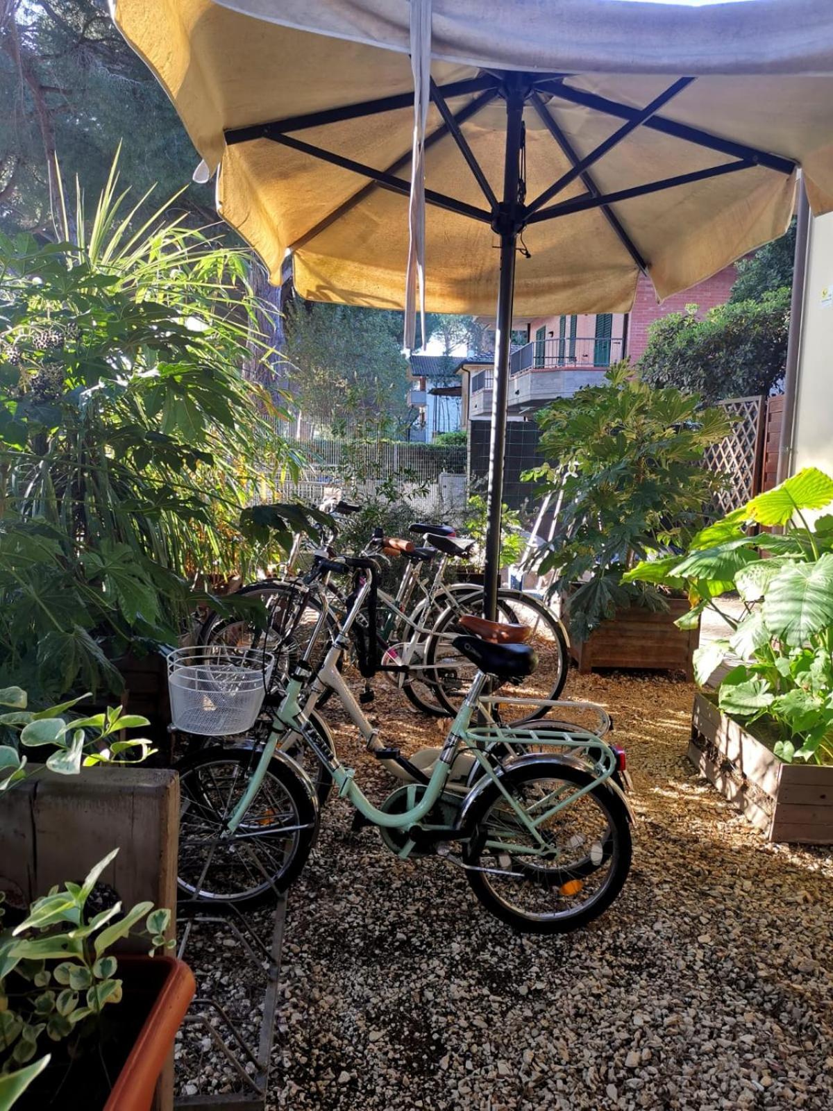 Hotel Casa Dorita - Free Breakfast Corner 8-12 Cervia Zewnętrze zdjęcie